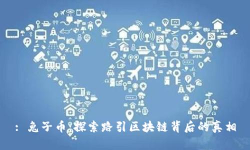 : 兔子币：探索路引区块链背后的真相