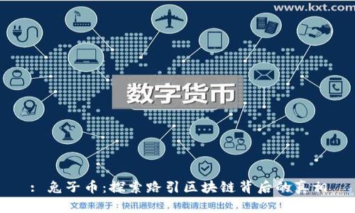 : 兔子币：探索路引区块链背后的真相