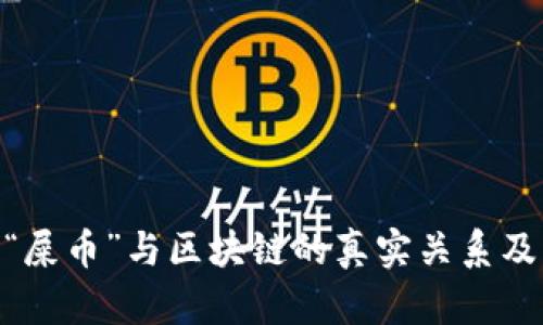 : 深度解析“屎币”与区块链的真实关系及其投资风险
