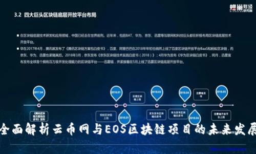全面解析云币网与EOS区块链项目的未来发展