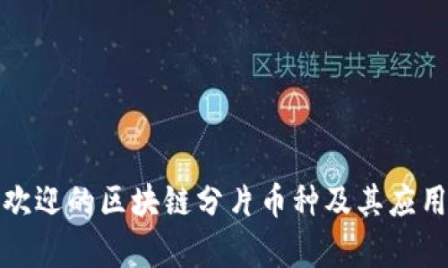 最受欢迎的区块链分片币种及其应用前景