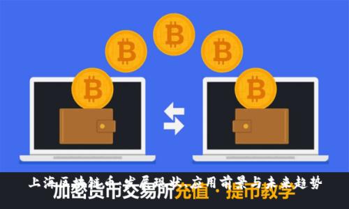 上海区块链币：发展现状、应用前景与未来趋势