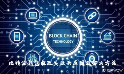 比特派钱包提现失败的原因及解决方法