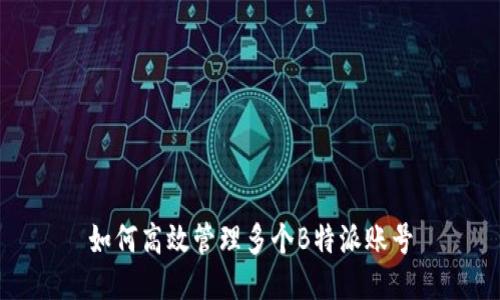 如何高效管理多个B特派账号