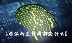 b特派的支付周期是什么？