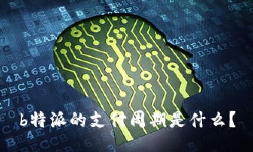 b特派的支付周期是什么？