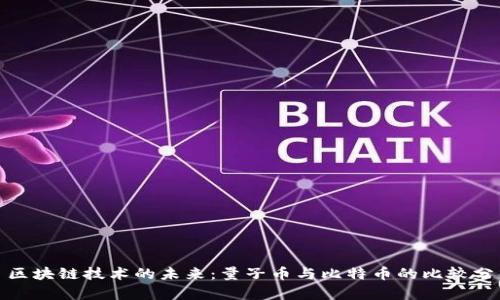 : 区块链技术的未来：量子币与比特币的比较分析
