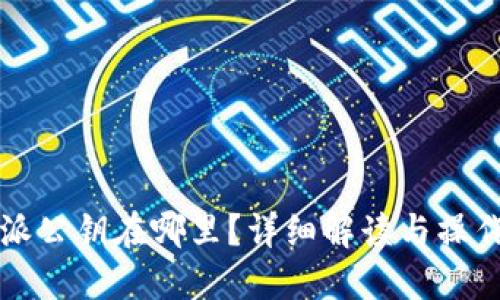 比特派公钥在哪里？详细解读与操作指南