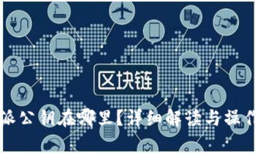 比特派公钥在哪里？详细解读与操作指南