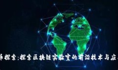 币探索：探索区块链实验