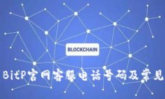 如何找到BitP官网客服电话
