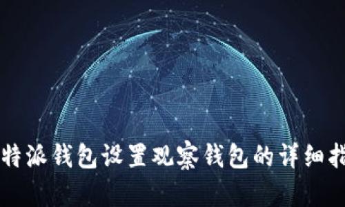 比特派钱包设置观察钱包的详细指南