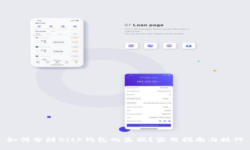 如何分辨BitP钱包的真假？实用指南与技巧