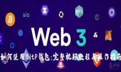 如何使用BitP钱包：完整视