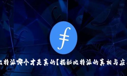 比特派哪个才是真的？揭秘比特派的真相与应用
