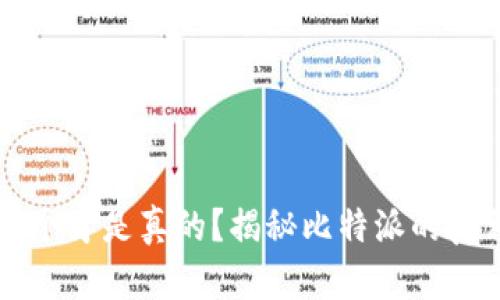比特派哪个才是真的？揭秘比特派的真相与应用