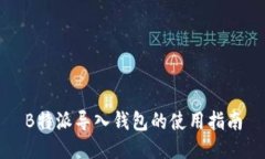 B特派导入钱包的使用指南