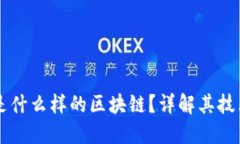 : VC币是什么样的区块链？详解其技术与应用