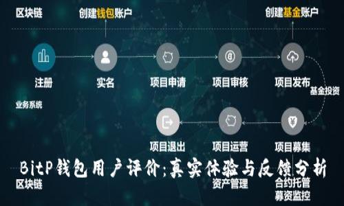 BitP钱包用户评价：真实体验与反馈分析
