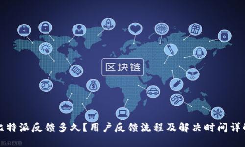比特派反馈多久？用户反馈流程及解决时间详解