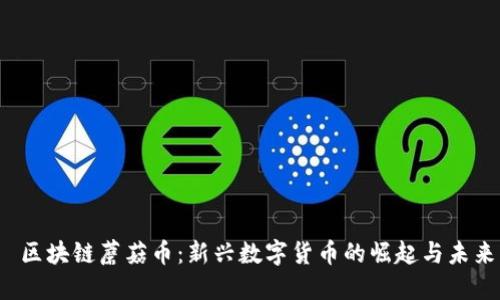  区块链蘑菇币：新兴数字货币的崛起与未来