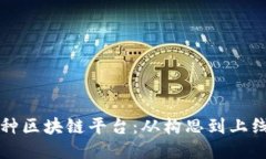 如何开发币种区块链平台