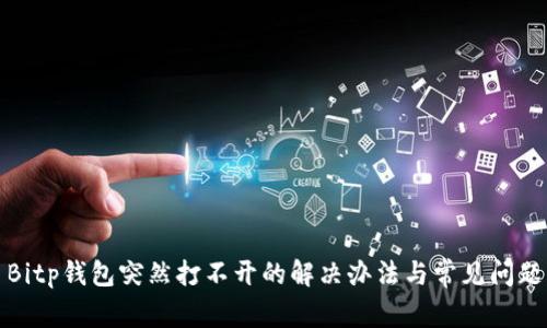 Bitp钱包突然打不开的解决办法与常见问题