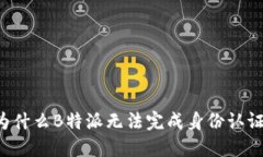 为什么B特派无法完成身份