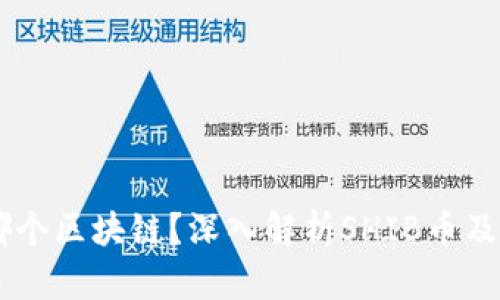 SHIB币是哪个区块链？深入解析SHIB币及其生态系统