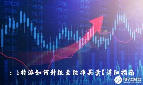 : b特派如何升级至纯净买卖？详细指南