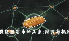非区块链数字币的未来：