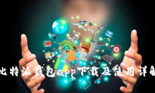 比特派钱包app下载及使用详解