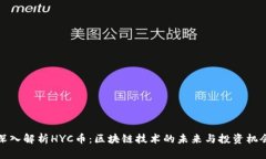 深入解析HYC币：区块链技