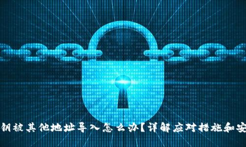 BitP私钥被其他地址导入怎么办？详解应对措施和安全建议