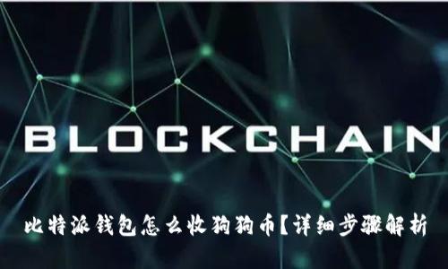 比特派钱包怎么收狗狗币？详细步骤解析