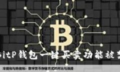 与关键词如何解决BitP钱包