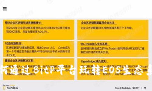 如何通过BitP平台玩转EOS生态系统