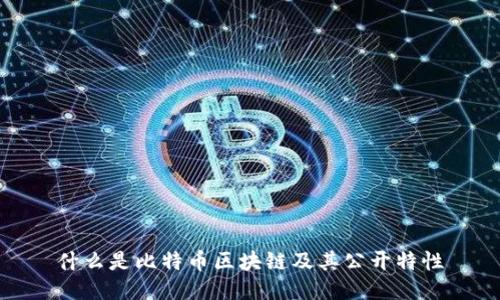 什么是比特币区块链及其公开特性
