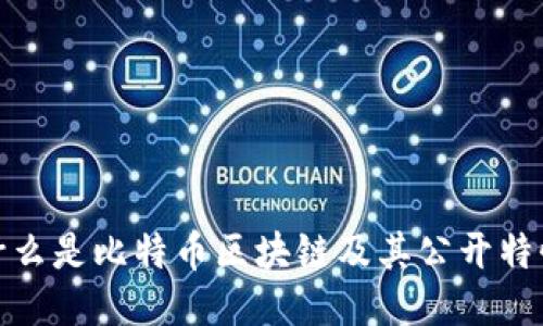 什么是比特币区块链及其公开特性