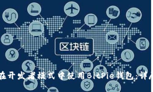 如何在开发者模式中使用BitPie钱包：详尽指南