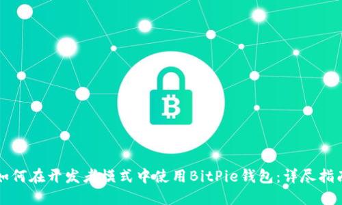 如何在开发者模式中使用BitPie钱包：详尽指南