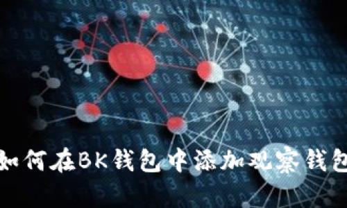 如何在BK钱包中添加观察钱包