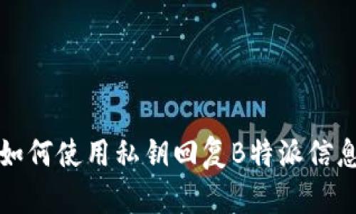 如何使用私钥回复B特派信息