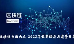 区块链币圈大瓜：2023年最