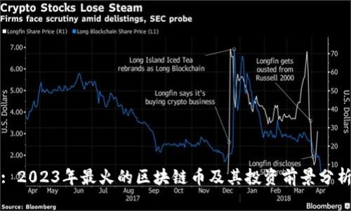 : 2023年最火的区块链币及其投资前景分析