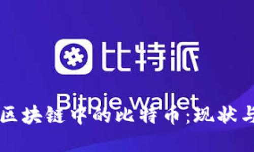 中国区块链中的比特币：现状与未来