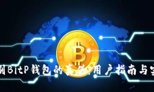 如何鉴别BitP钱包的真伪：用户指南与实用技巧