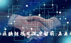 : 火币Starlink区块链项目深