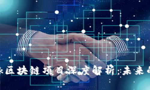 : 火币Starlink区块链项目深度解析：未来的数字资产网络