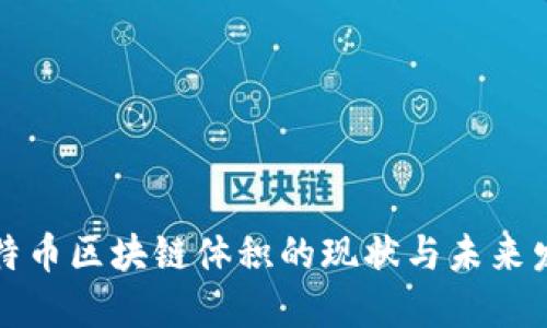 比特币区块链体积的现状与未来发展